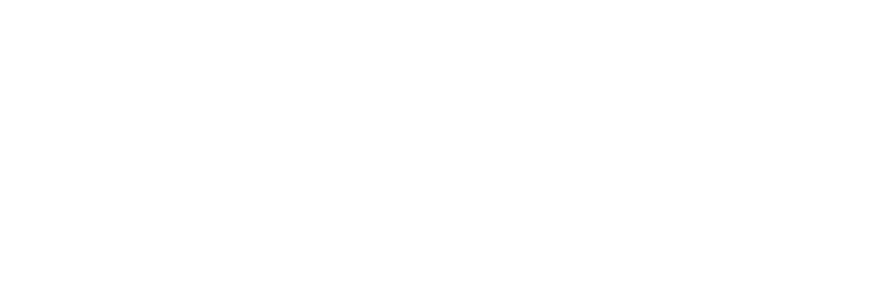 Detailing Fabrique logo